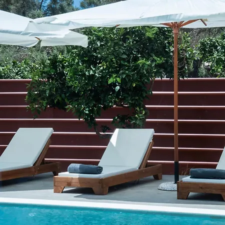 Apartment Generation And Lefkada City